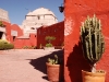 Plants play a big role in making Santa Catalina homely as well as stunning