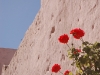 The stonework becomes ethereal against the blue sky