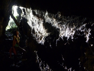 Moments later the spider leapt out of the darkness behind me and dragged me away screaming. Maureen rescued the camera