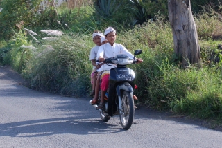 They'd be allowed to drive cars as well, but their feet don't reach the pedals