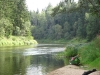 River Gauja by canoe