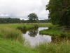 Baltic country, Estonia
