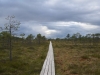 Soomaa NP, Estonia