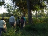 Leech walk