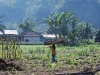 The inside of the crater is a fertile market garden of produce and a handful of villages