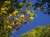 We were lucky enough to visit during the autumn colours
