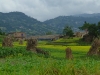 Farmland