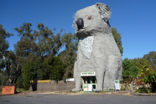 There must have been some anti-freeze in the Riesling we had last night, because I'm seeing a giant evil koala with a door in its tummy