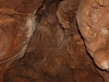 Alien formations