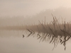 Amazing that the destruction of a landscape by flood could have created so much beauty a few decades on