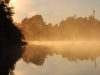 As usual it is crucial to start at the crack of dawn - even if otters never seem to show up at the crack of dawn