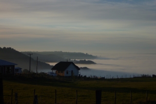 Not a seaside cottage at all, we're probably a hundred metres above sea level here