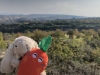 MiliouBun