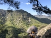 MountainBun