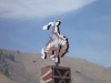 02-cowboy