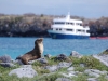 Day 2 and our first port of call was the South Plazas island - that there is our boat, the Xavier III