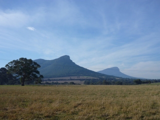 Approaching the Grampians, a spectacular (speccy, as the locals say) range of woody hills that rear up suddenly out of the plains