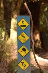 Uh-oh! Acid pits, deadly spaghetti, man-eating trees and snakes!