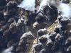 Bats2
