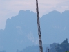 Unicorn horn