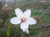 ...and, just once, it briefly rained