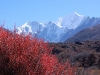 Autumn in Langtang