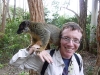 Uses for lemurs