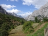 Picos de Europa
