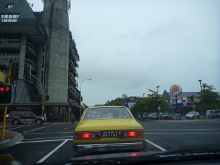 Lovely Nelson on a rainy day