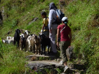 Setting off on our trek we never knew what hurdles we might face...