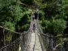 Shonky bridge