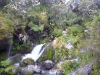 The camera got wet and I had nothing dry to wipe it. Think of the blur as an artistic experiment on the theme of \'wet\'