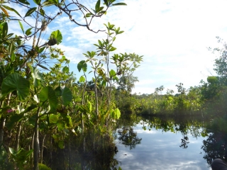 The sun came out for our final day, so in the afternoon we dawdled in a canoe