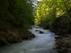 A morning walk down the Vintgar Gorge