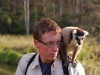 Ring-tailed lemur