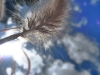It\'s nice to just lie in the grass and look up at the clouds scudding overhead