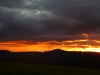 As the sun sets over Tasmania\'s wilderness it\'s time for the native wildlife to appear