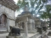 23.ShivaNandis