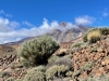 El Teide in the caldera
