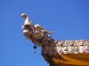 Temple roof detail