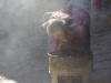 Blowing incense