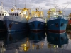 There\'s some good human landscape to see as well - these are fishing boats anchored in Fremantle harbour