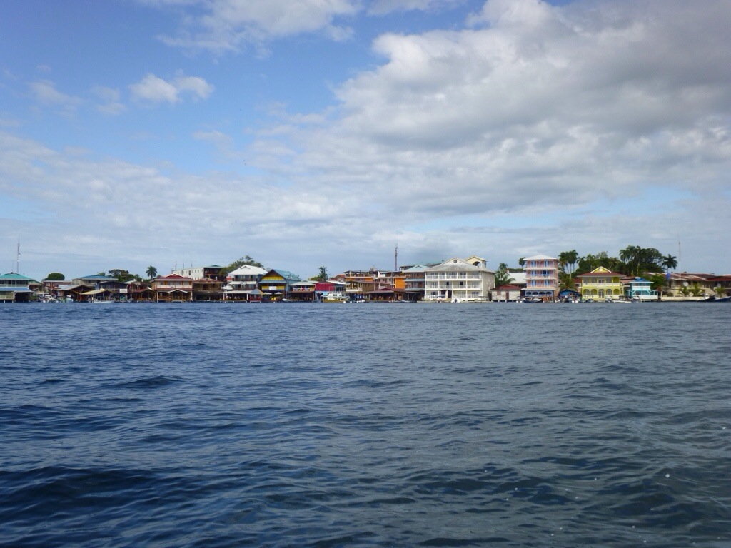 20131229-150134.jpg