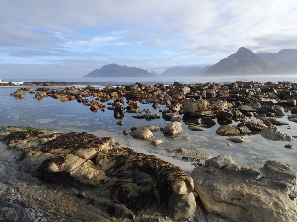 Kommetjie shore